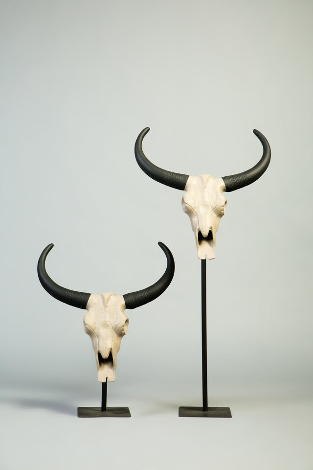 Longhorn Buffalo Skull Sculptures